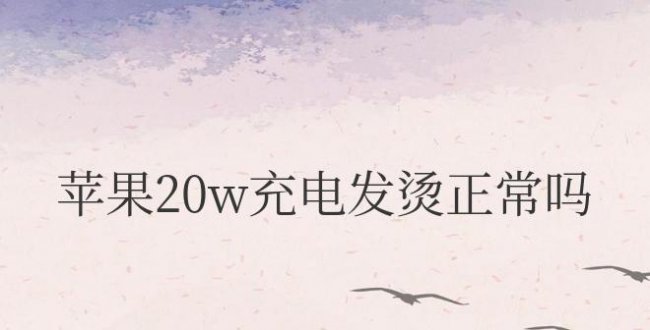 苹果20w充电发烫正常吗而且充不进去电