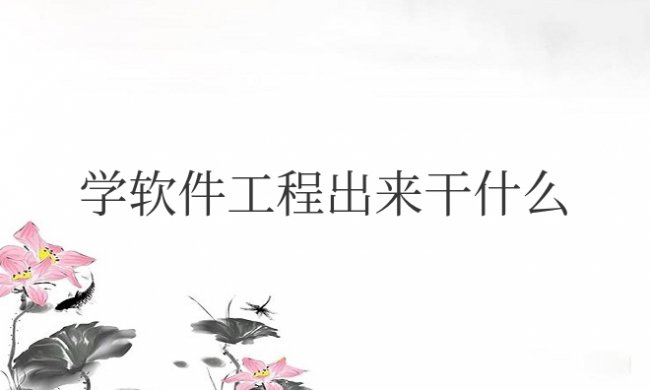 学软件工程出来干什么工作呢