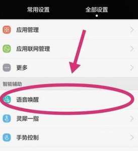 华为黑屏唤醒功能在哪里设置 华为手机的黑屏唤醒功能应该在哪里开启?