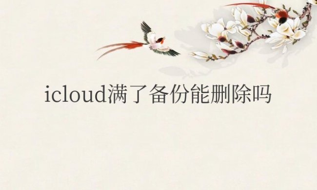 苹果icloud满了备份能删除吗