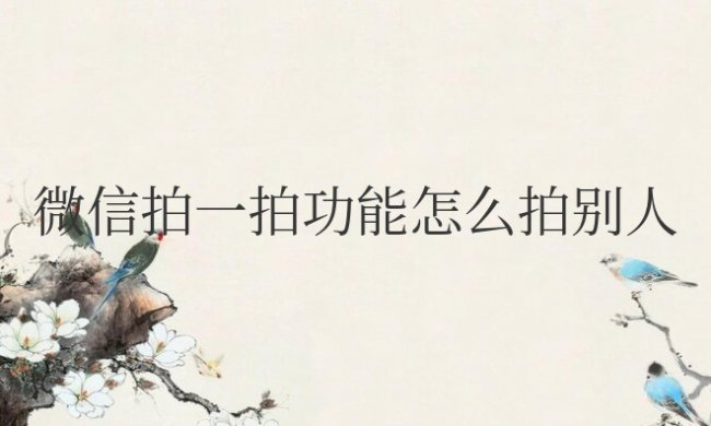 微信拍一拍功能怎么拍别人