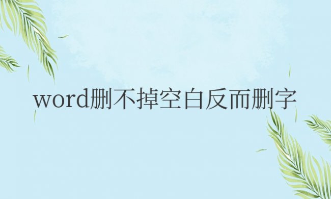 word删不掉空白反而删字