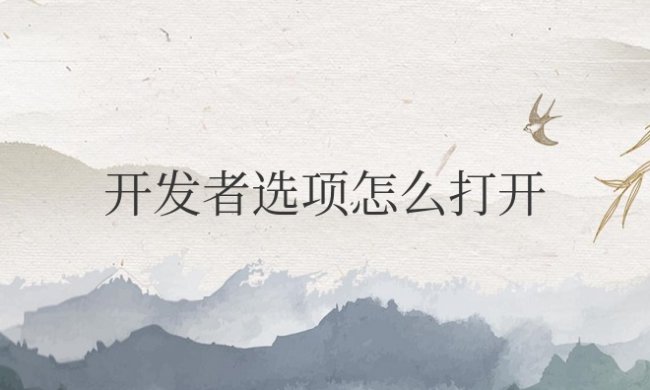 鸿蒙系统开发者选项怎么打开