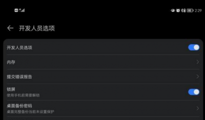 鸿蒙系统开发者选项怎么打开 如何启用鸿蒙系统的开发者选项？