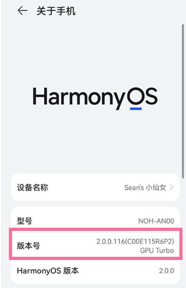 鸿蒙系统开发者选项怎么打开