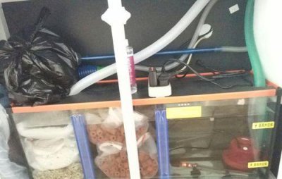 有过滤系统的鱼缸多久换一次水合适