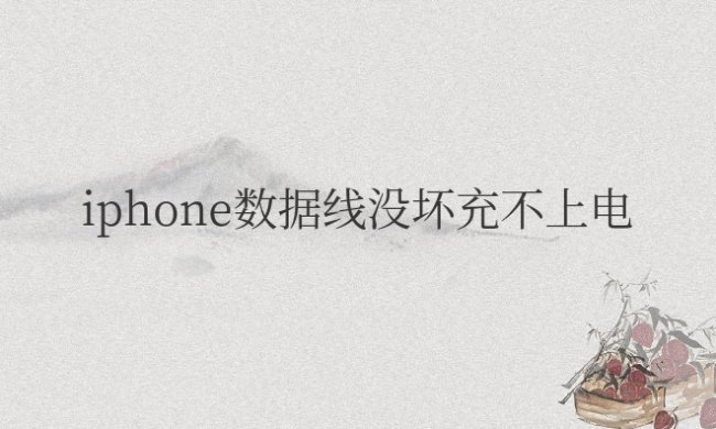 iphone数据线没坏充不上电冲但别人的手机就可以
