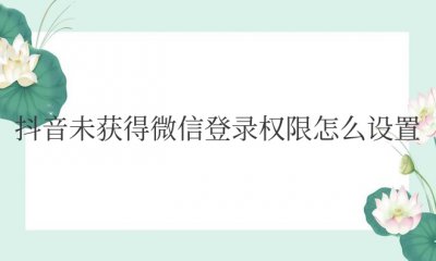 抖音未获得微信登录权限怎么设置安卓