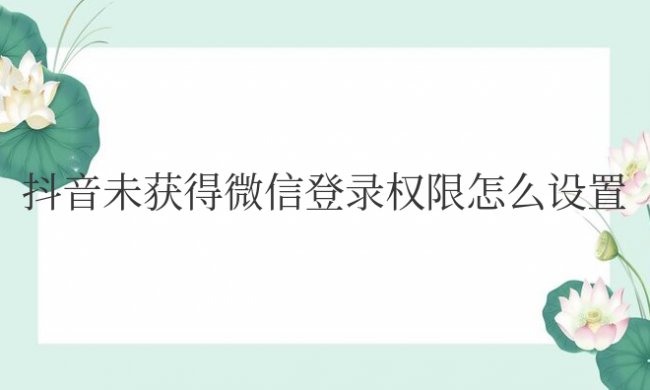 抖音未获得微信登录权限怎么设置安卓