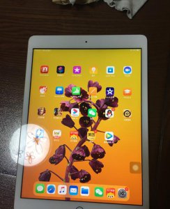 苹果a2197是什么型号多大屏幕 ipad第七代型号