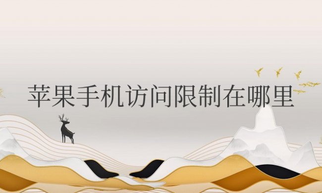 苹果手机访问限制在哪里设置关闭