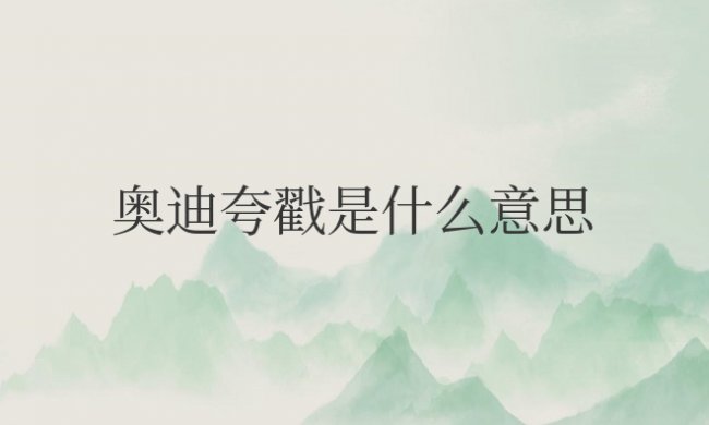 奥迪夸戳是什么意思