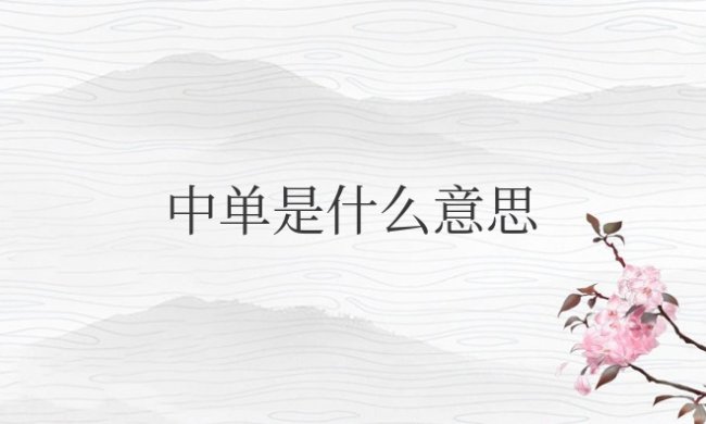 王者中单是什么意思