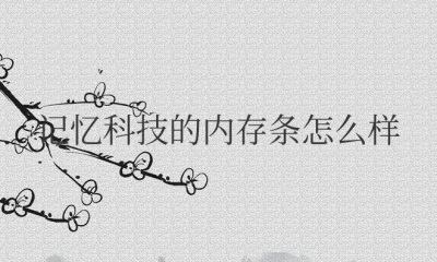记忆科技的内存条怎么样？是几线品牌？