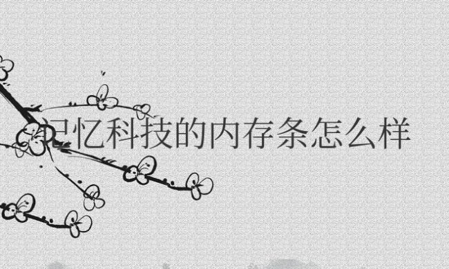 记忆科技的内存条怎么样?是几线品牌?