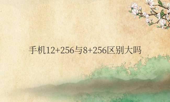 华为手机12+256与8+256区别大吗