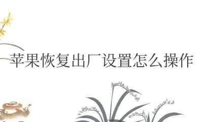 苹果恢复出厂设置怎么操作忘记密码