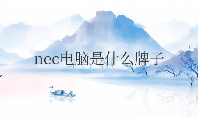 nec电脑是什么牌子的笔记本?多少钱?