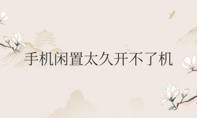 手机闲置太久开不了机充电也没反应