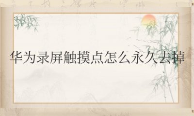 华为录屏触摸点怎么永久去掉