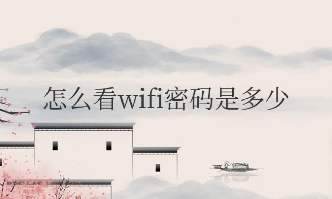 连了wifi怎么看wifi密码是多少
