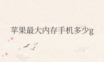 苹果最大内存手机多少g 在哪里看多少内存