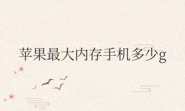 苹果最大内存手机多少g