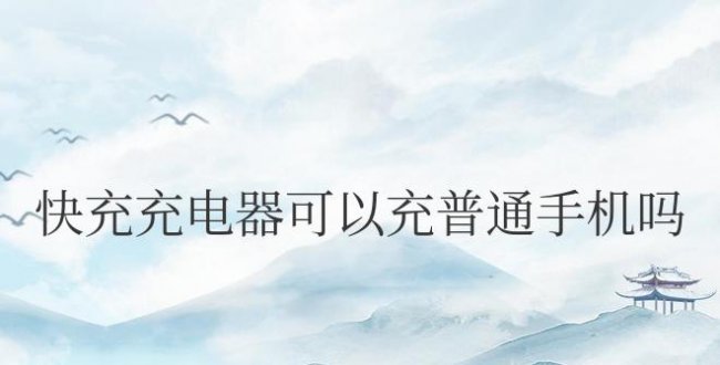 手机快充充电器可以充普通手机吗