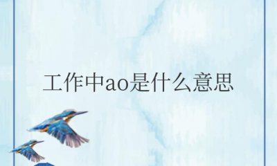 工作中ao是什么意思 AO是《现场审计实施系统》简称