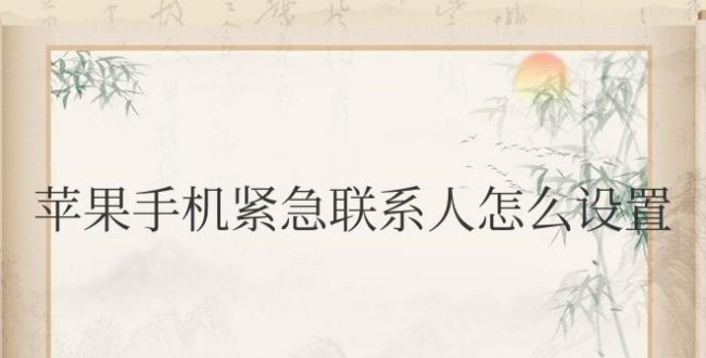 苹果手机紧急联系人怎么设置
