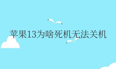苹果13为啥死机无法关机 iphone13死机无法强制关机解决方法