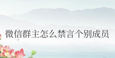安卓手机微信群主怎么禁言个别成员