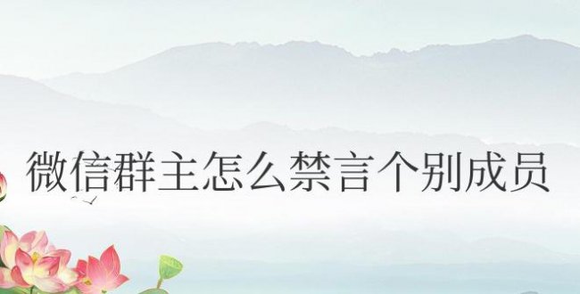 安卓手机微信群主怎么禁言个别成员