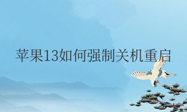 苹果13如何强制关机重启