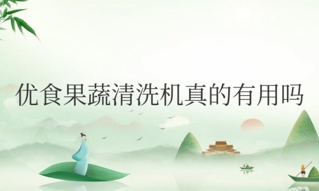优食果蔬清洗机真的有用吗