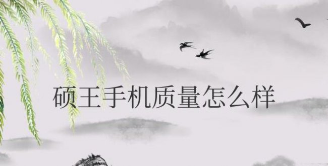 硕王手机质量怎么样价格多少