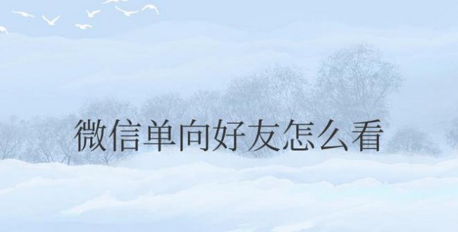 微信单向好友怎么看