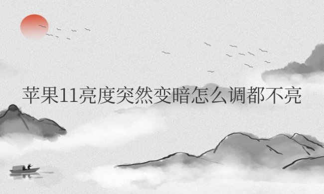 苹果11亮度突然变暗怎么调都不亮