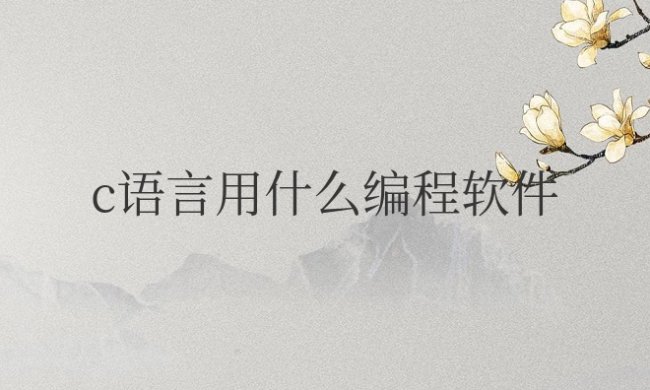 计算机二级c语言用什么编程软件