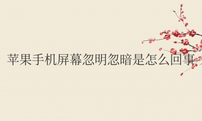 苹果手机屏幕忽明忽暗是怎么回事
