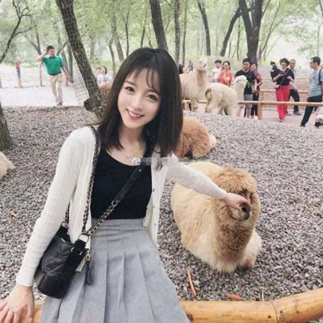 谁是卧底游戏规则及玩法简介