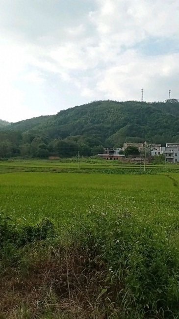 数三十技巧怎么必赢