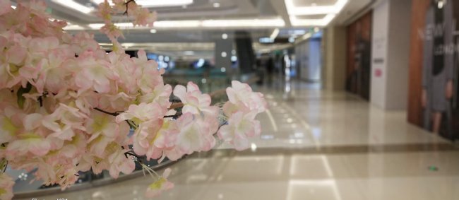 designed by vivo手机型号