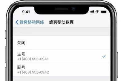 苹果xr是双卡双待吗 iphonexr双卡怎么设置