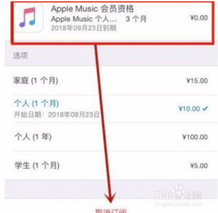 苹果手机如何取消自动续费会员的功能