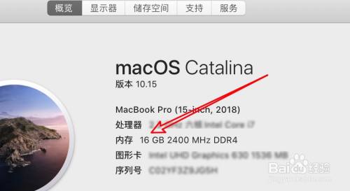 苹果电脑内存怎么看用多少