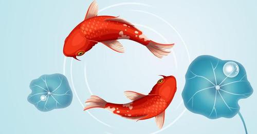 求锦鲤什么意思
