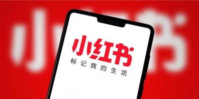 小红书绿泡泡是什么意思 加绿泡泡是加微信吗