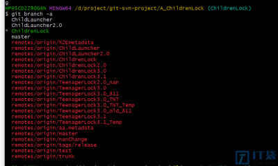 运维必备-将代码从SVN迁移至GitLab