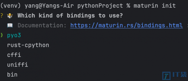 如何使用Rust加速Python程序